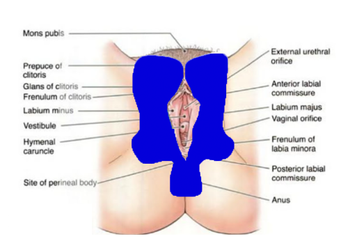 peels on intime areas